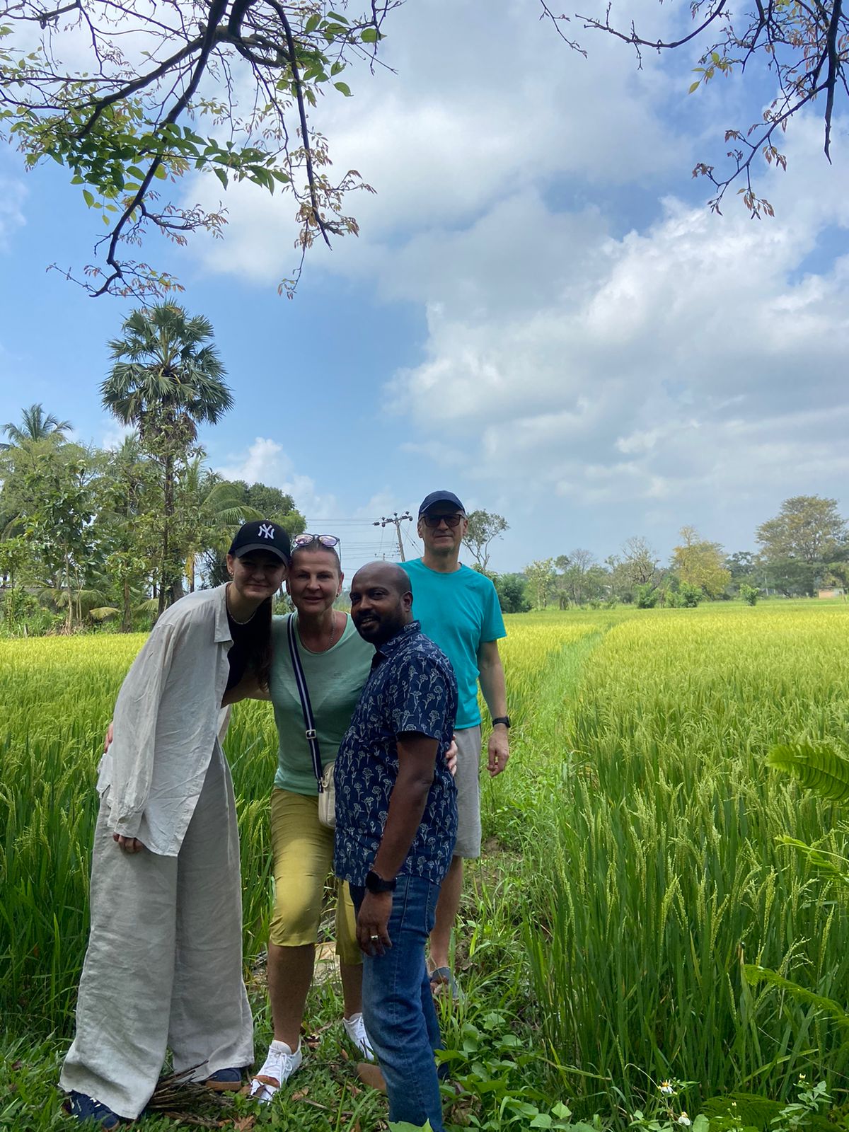 Visitors beside a sunlit rice field