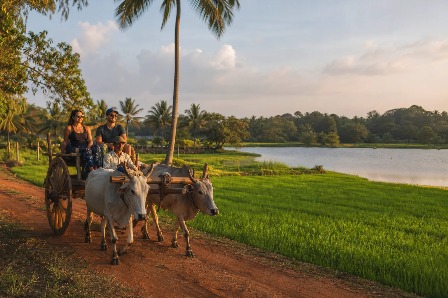 A traditional village experience in Habarana