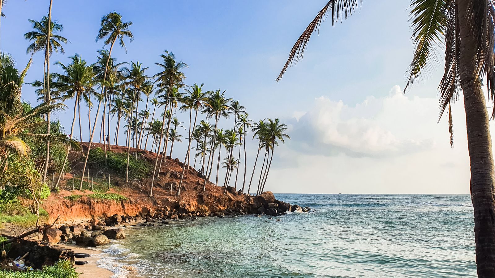 Coconut palms and the turquoise coastline at Mirissa