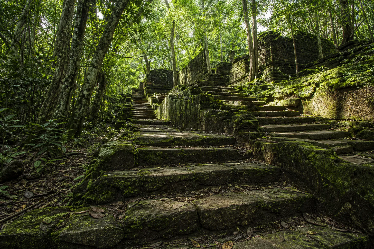 Ancient stone pathways among the forest at Ritigala