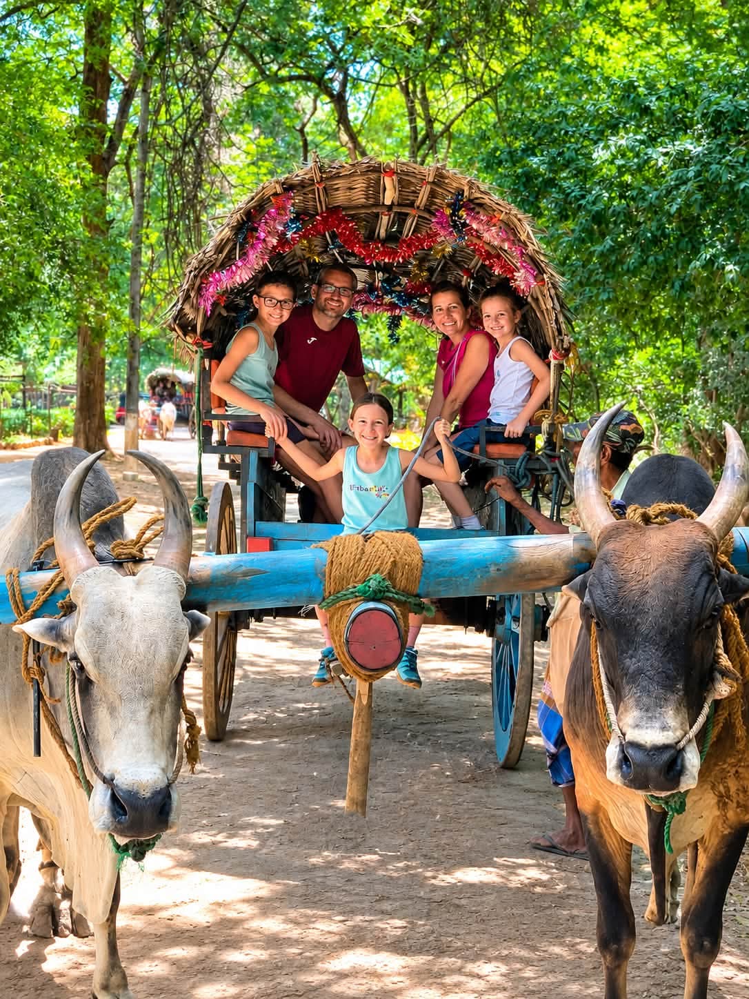 Family enjoying a traditional bullock cart ride near Habarana